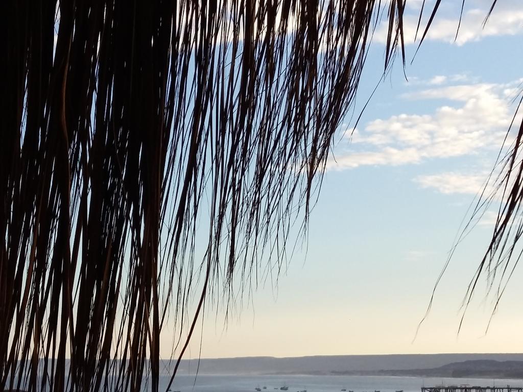 Lapa Lapa Lobitos Bungalows Hotel Exterior foto